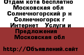 Отдам кота бесплатно - Московская обл., Солнечногорский р-н, Солнечногорск г. Интернет » Услуги и Предложения   . Московская обл.